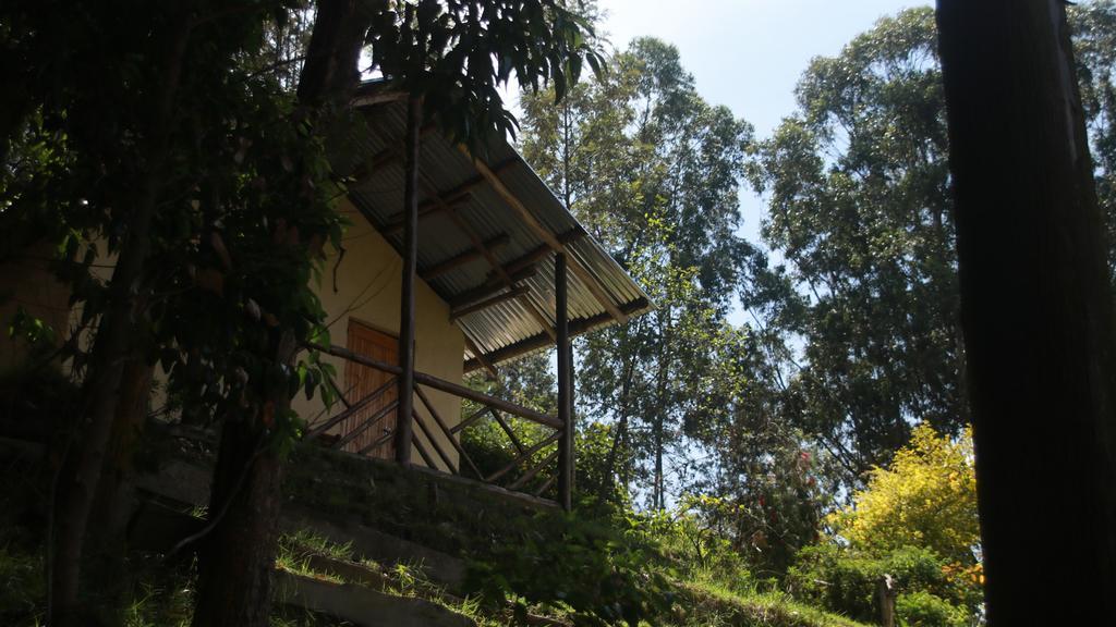 Amasiko Homestay Lake Bunyonyi Kabale Exterior photo