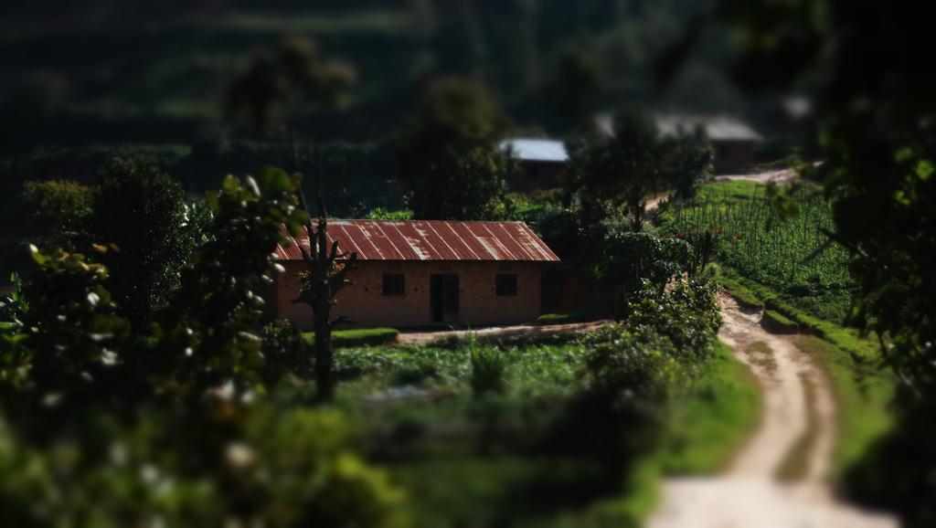 Amasiko Homestay Lake Bunyonyi Kabale Exterior photo